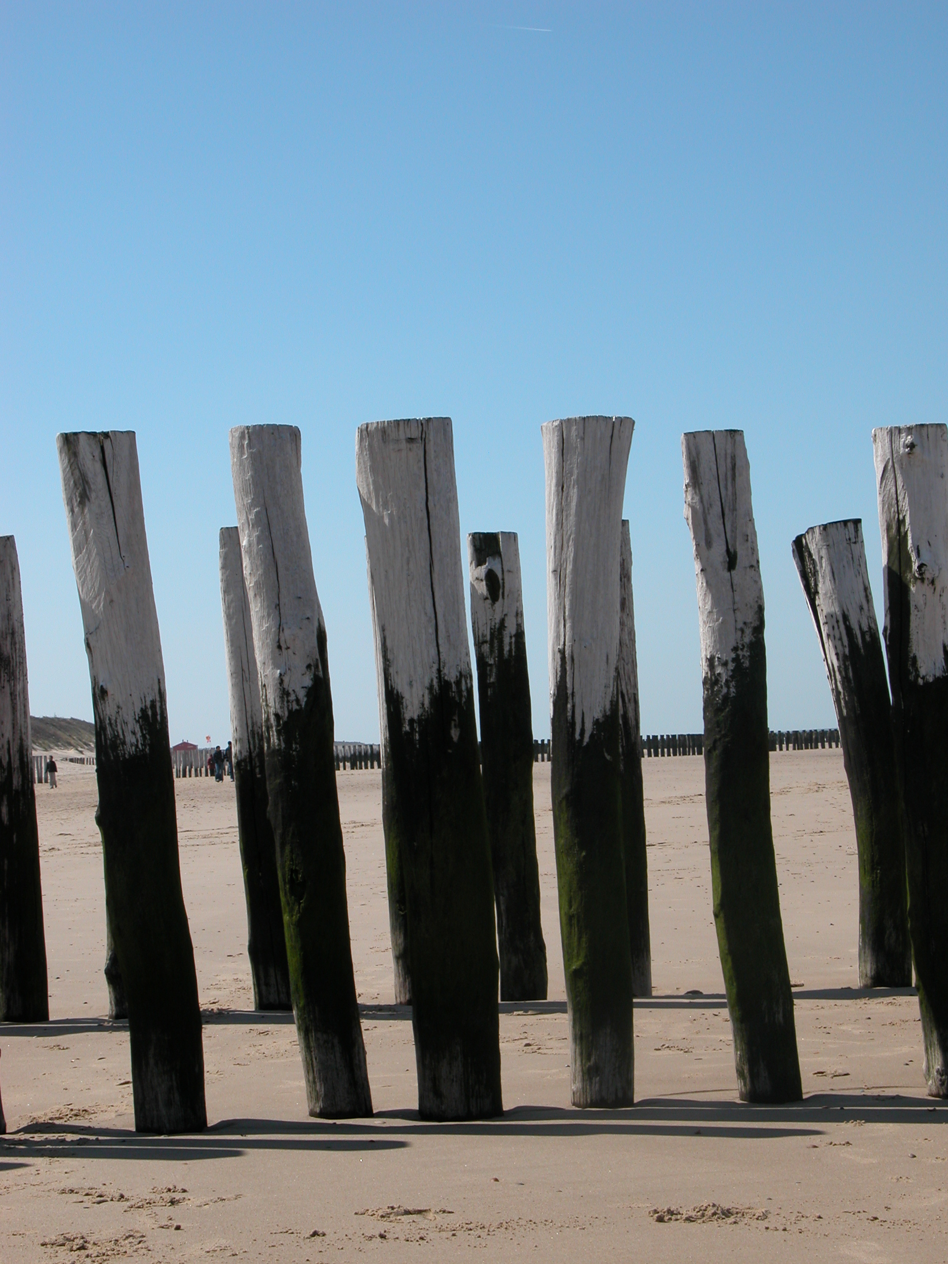 beams poles beach sand coast row