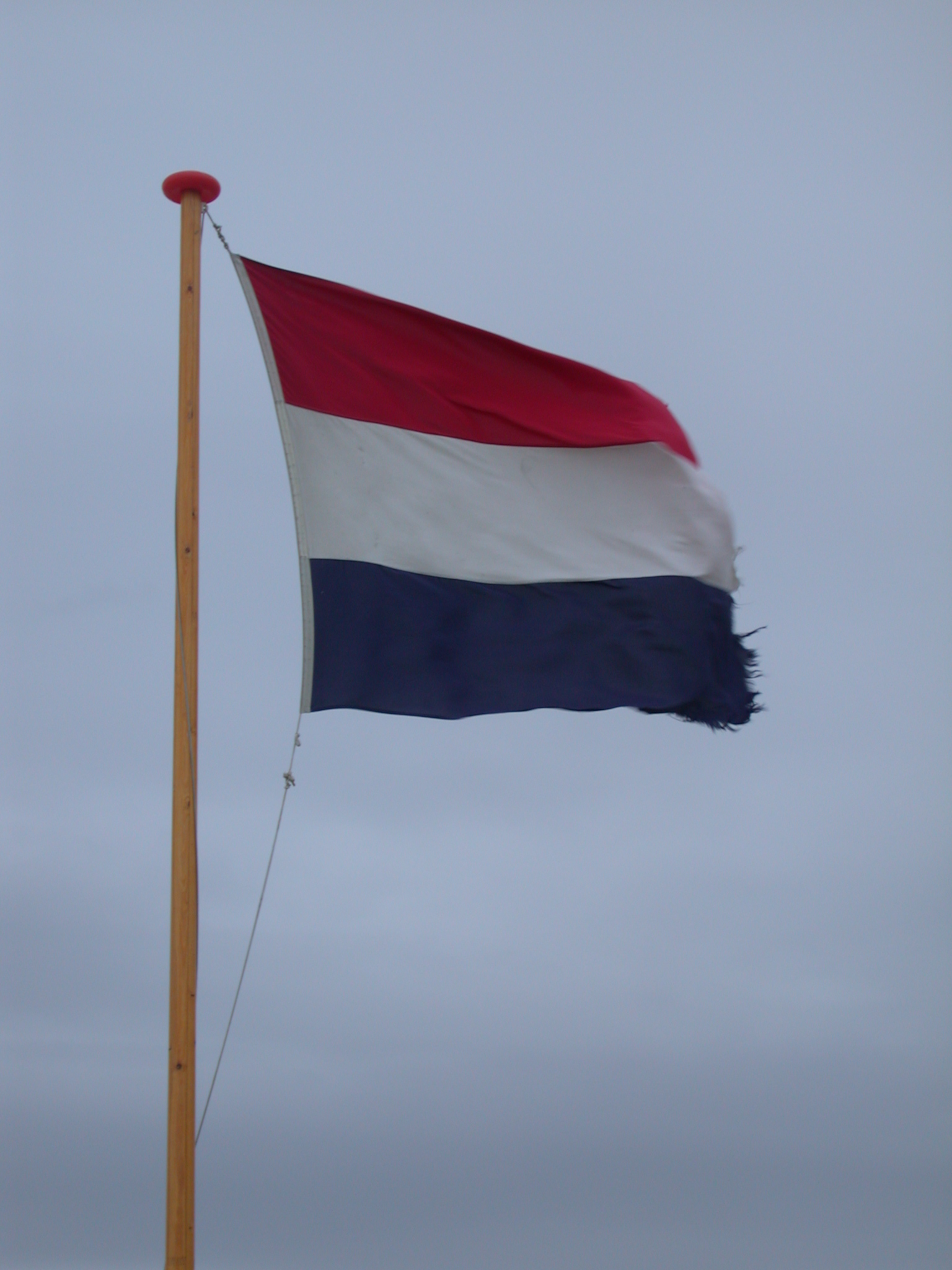 flag dutch red white and blue waving wind