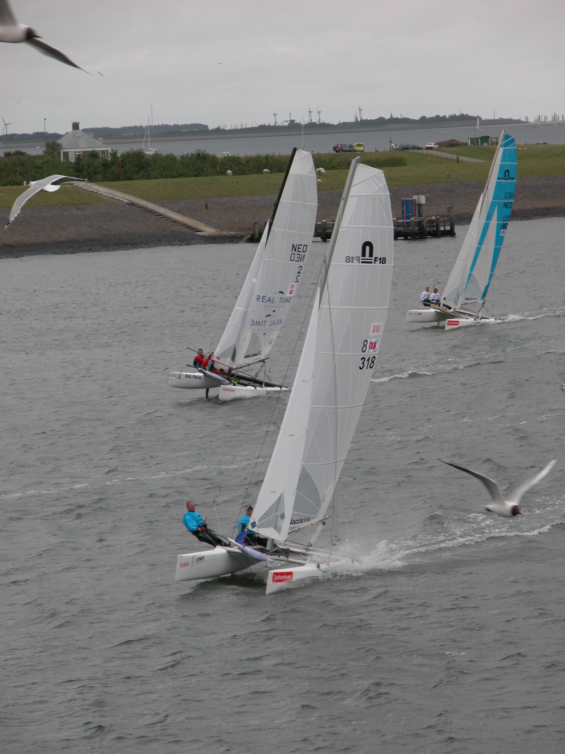 vehicles water nacra catamaran ronde om texel rondjetexel rondeomtexel sailing race 't horntje gulls flying
