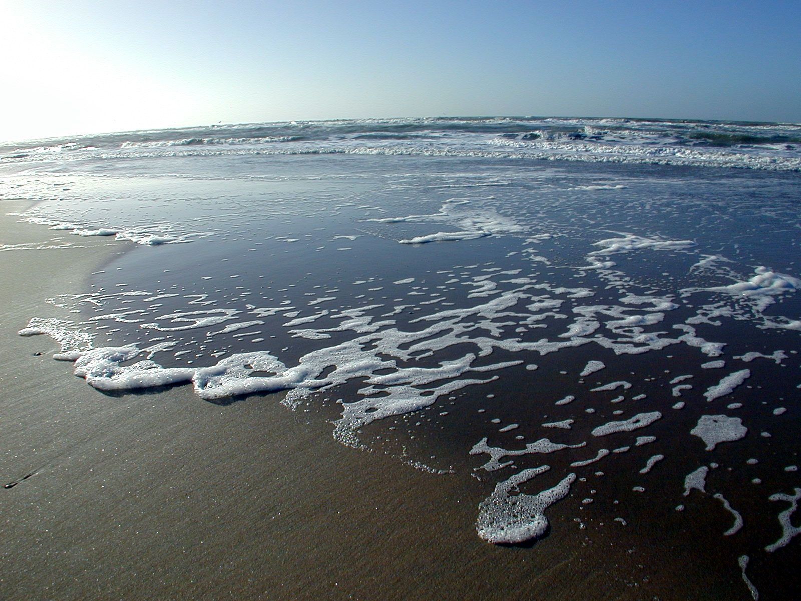 beach water sea wave waves sand wet