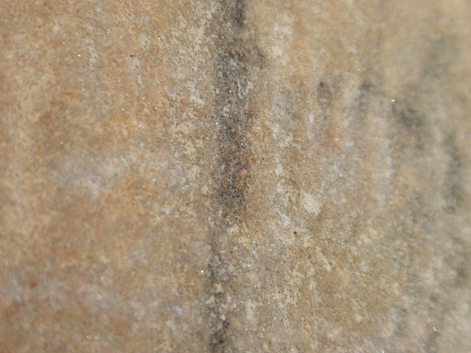 sand stone rock closeup texture free brown image
