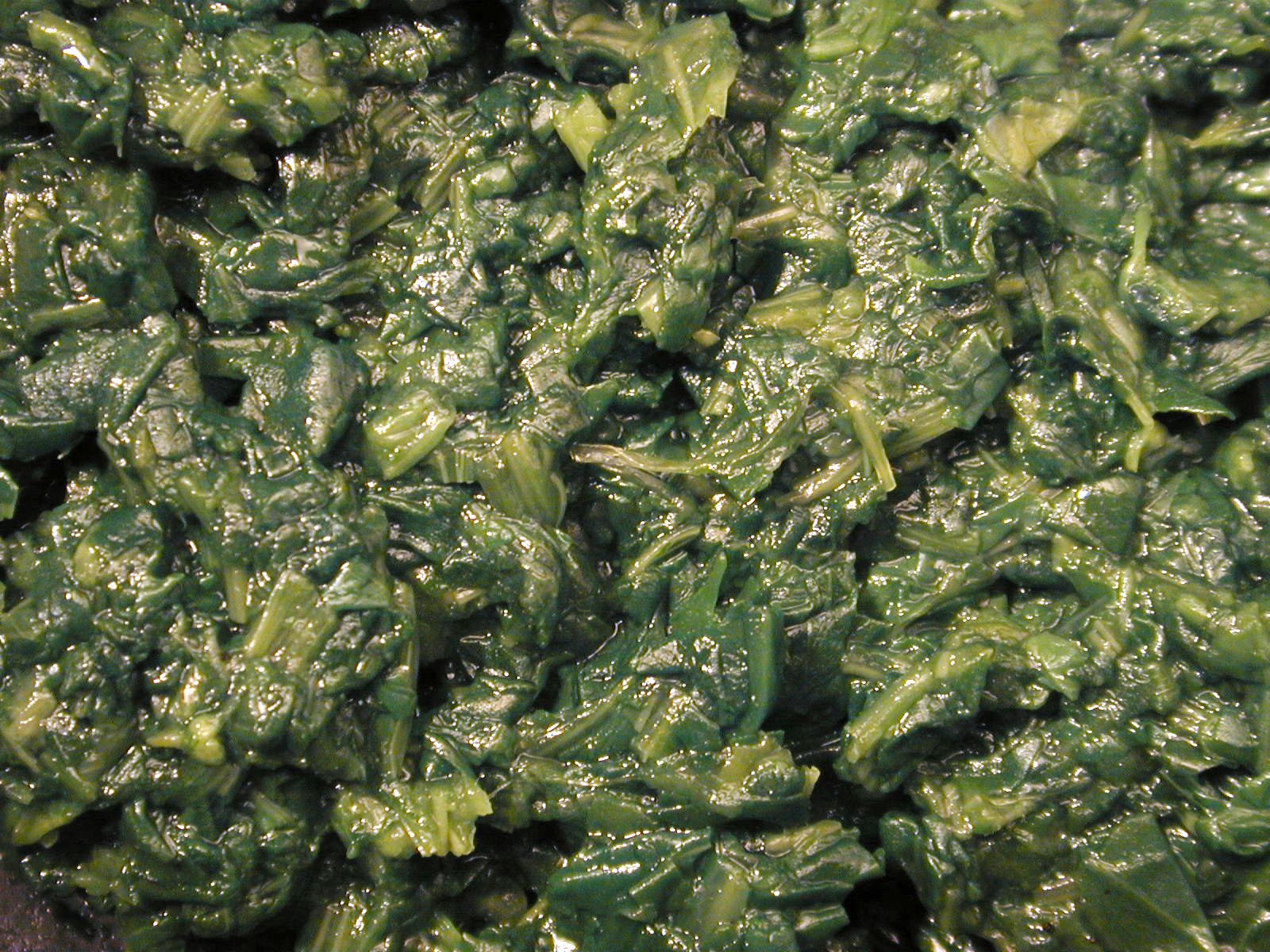 spinach coocked vegetable food goo texture yuk healthy green