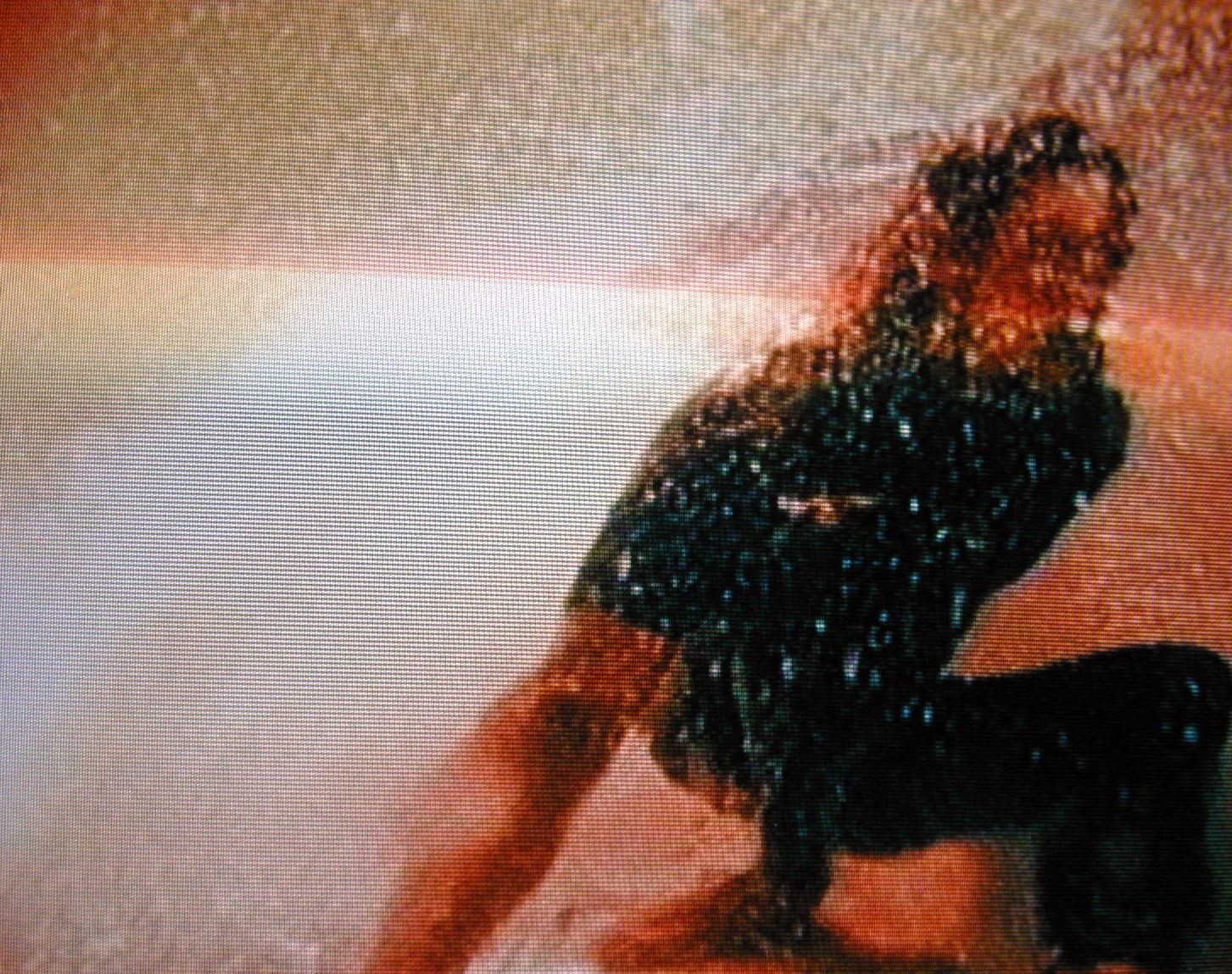 lightfx light_fx surf tv macro close human person water sport