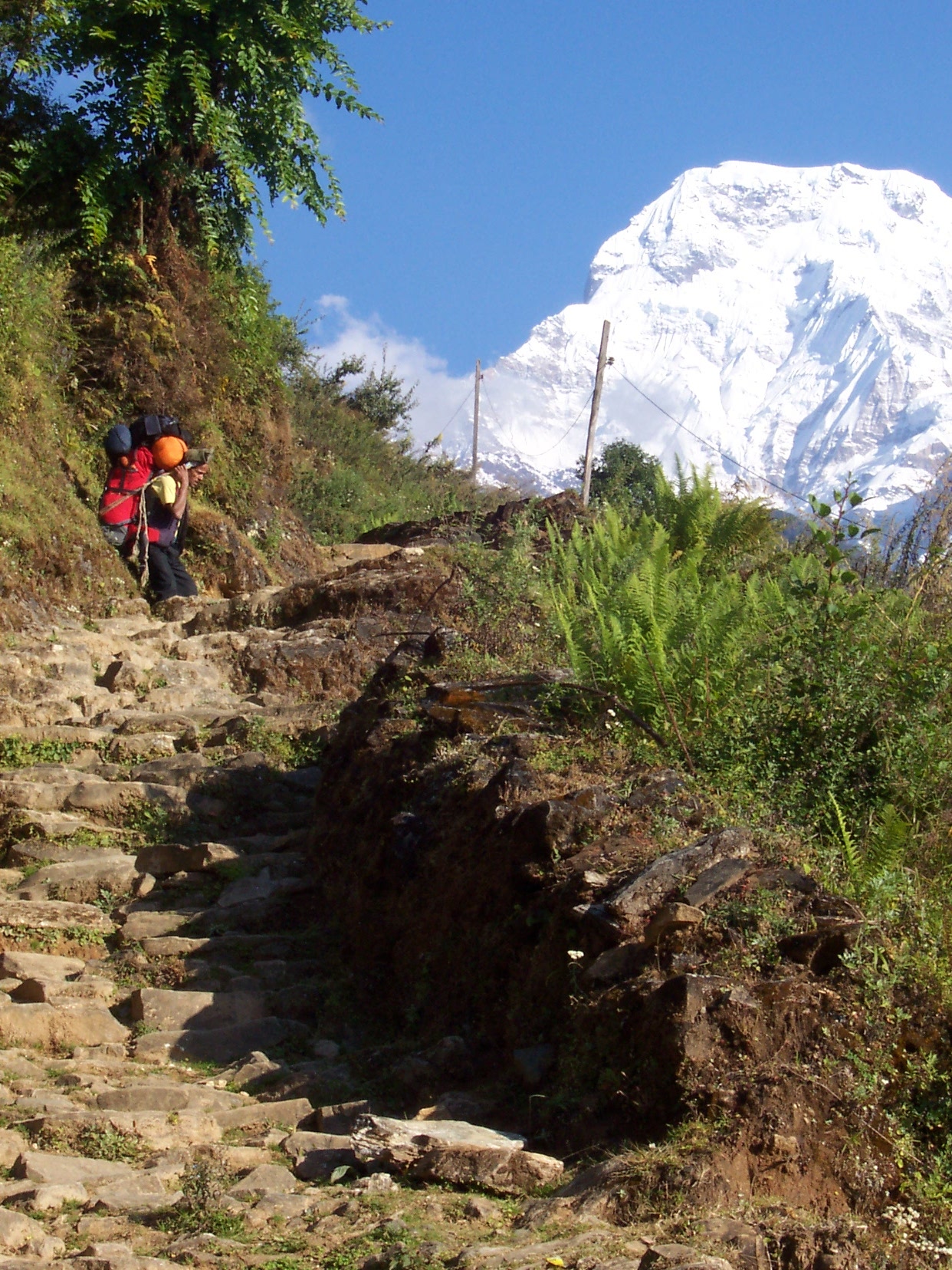 nature characters humanoids annet sherpa backpack trail staircase stairs path himalaya nepal resting overload