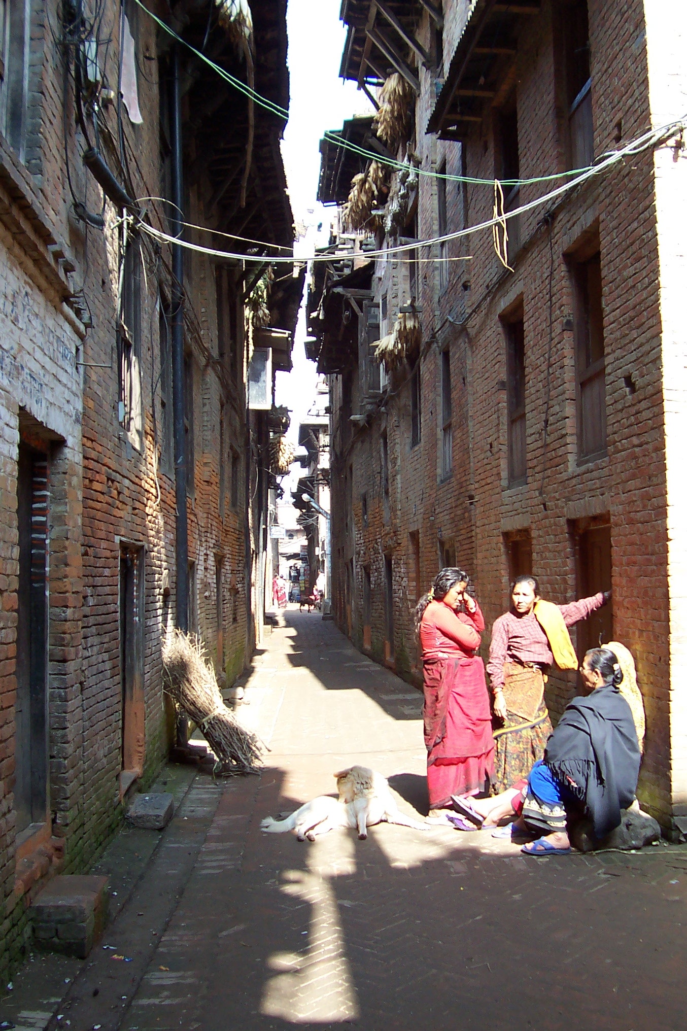 nature character humanoids annet nepal alley woman women dog street city cityscape bolivia