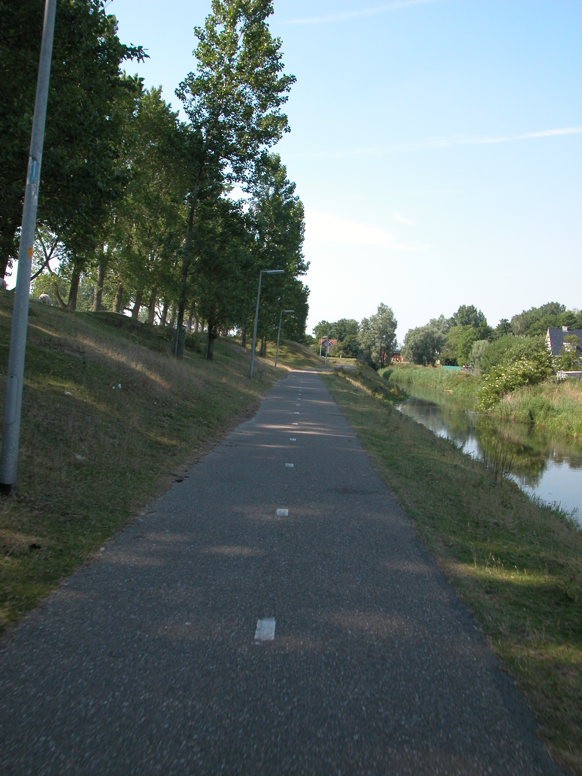 path road for bicycles tarmac trees sunny