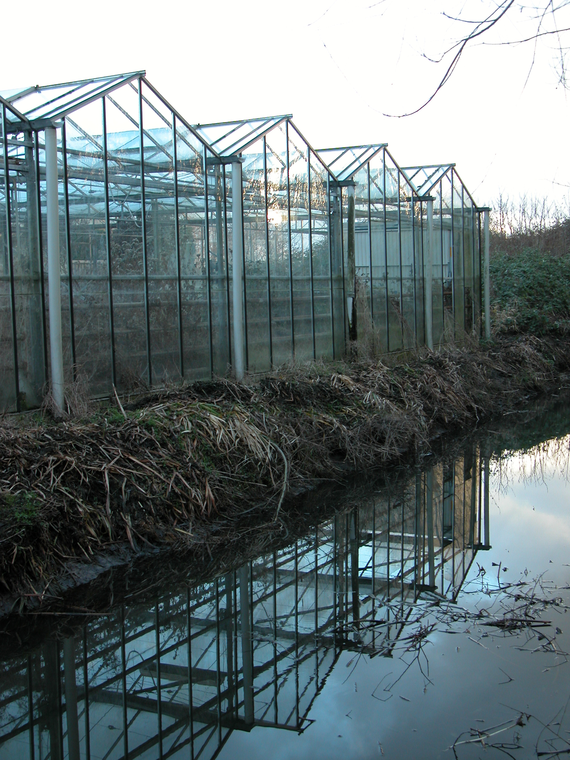 greenhouse glass water ditch