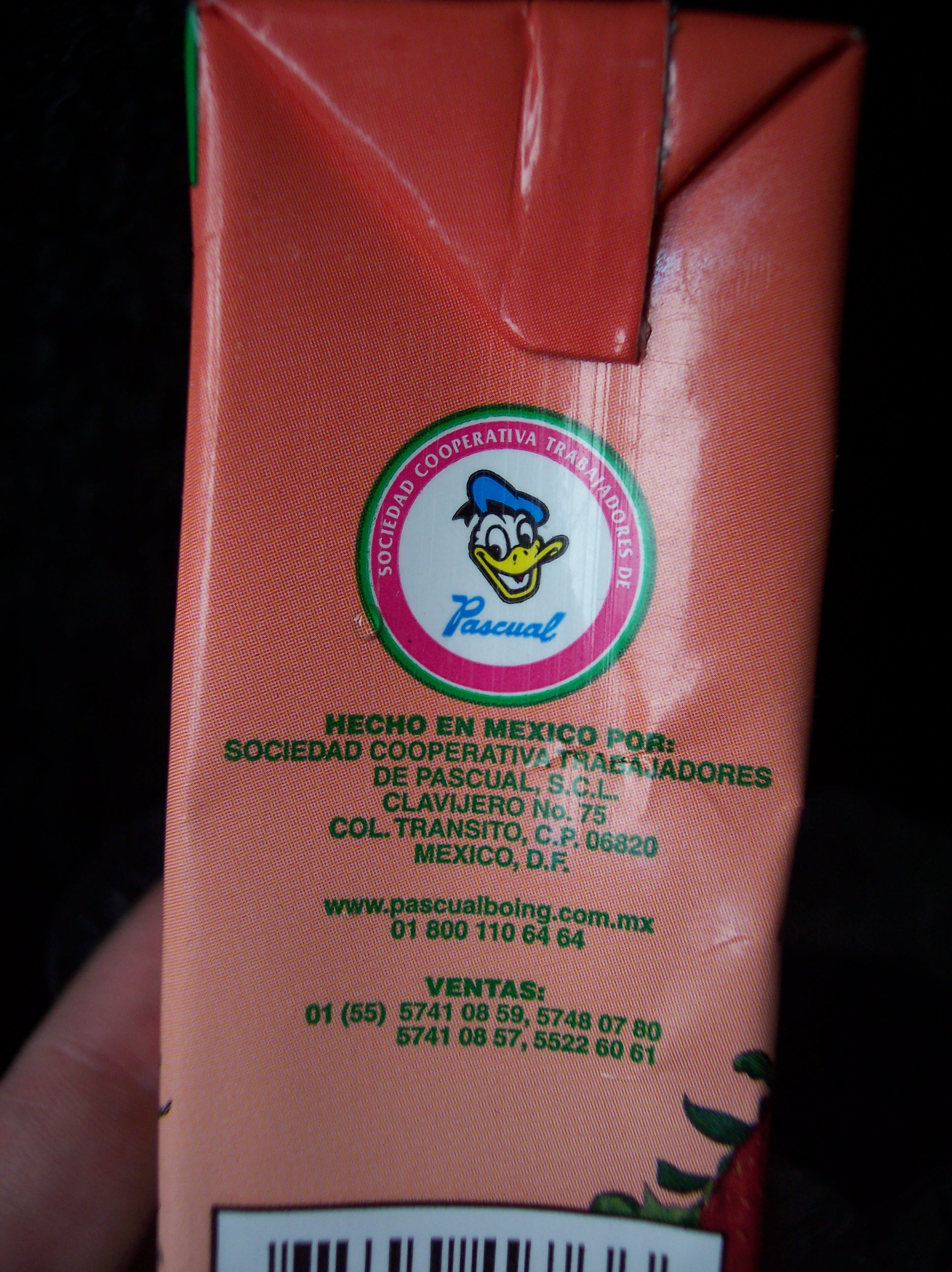 dario donald duck carton juice logo mexico