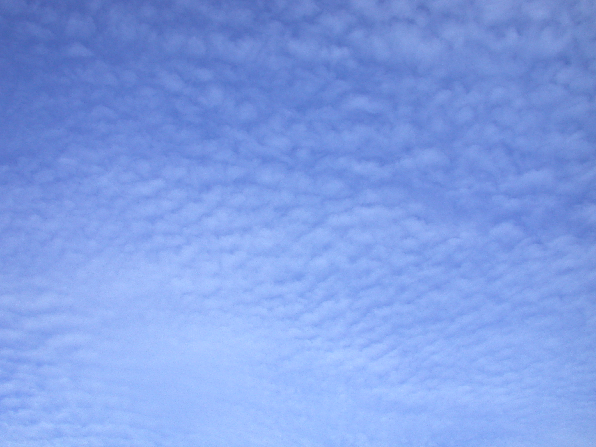 cloud clouds altocumulus scud scudding soft blanket