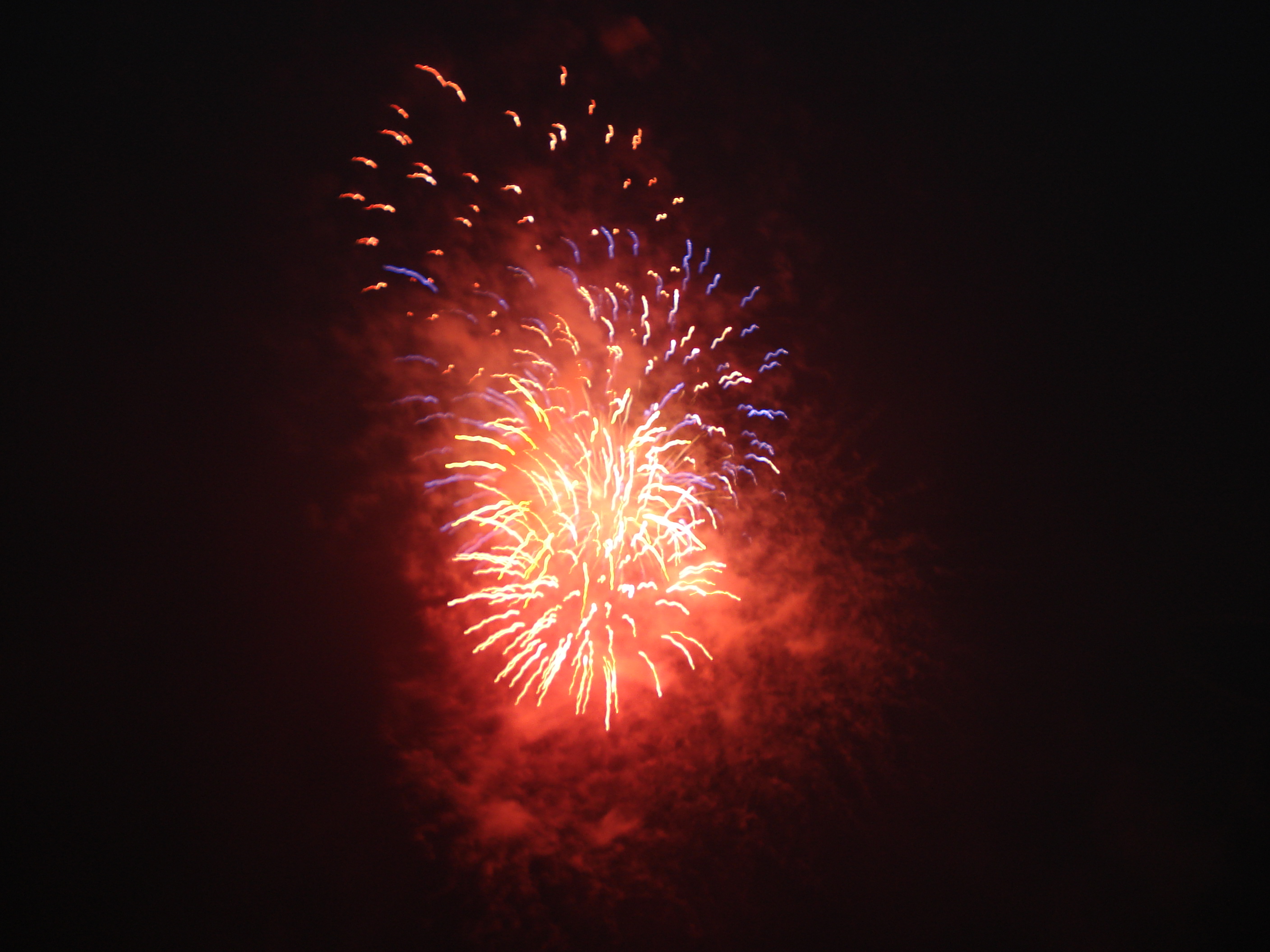 sallie_richardson fireworks new year festivities party