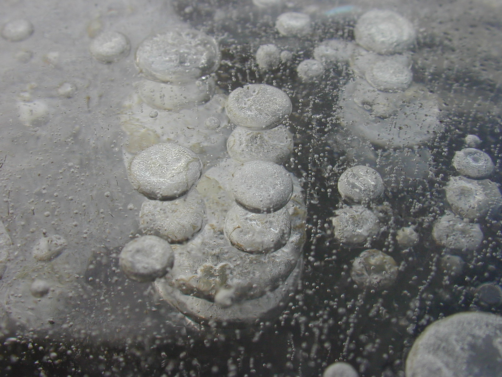 elements water ice frozen frost bubble bubbles gray winter