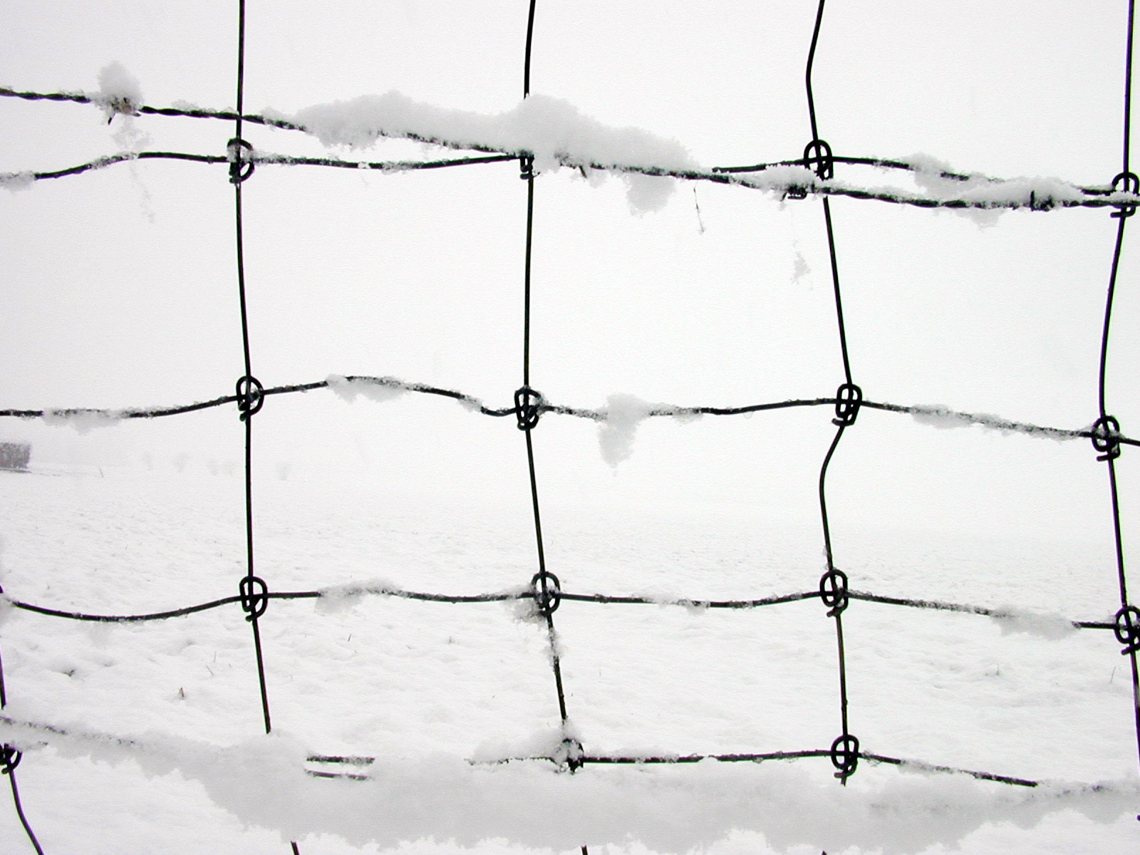 net fence wires knots snow field cold blanket