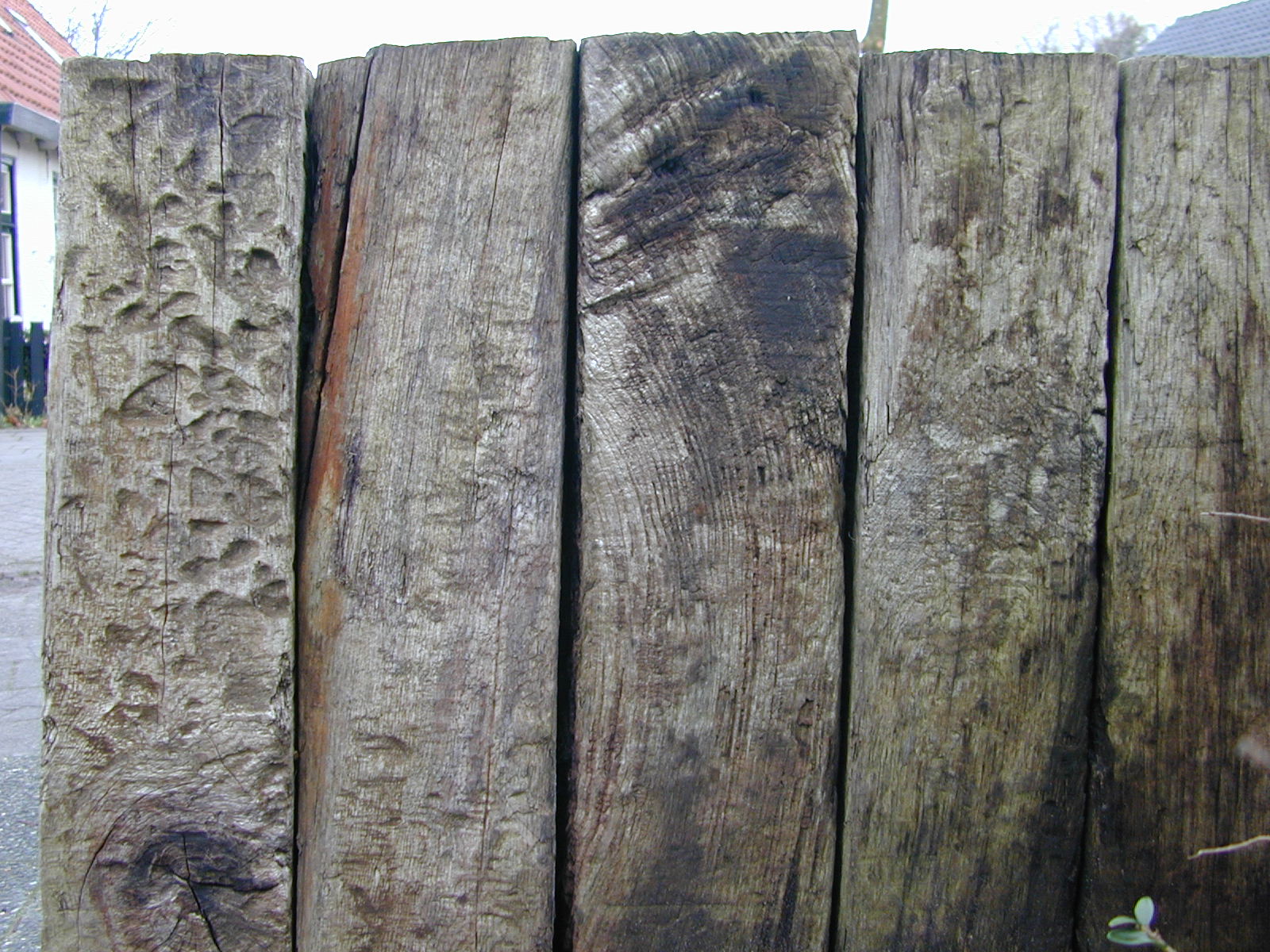 pole poles fence wood texture textures rugged fine blank railway