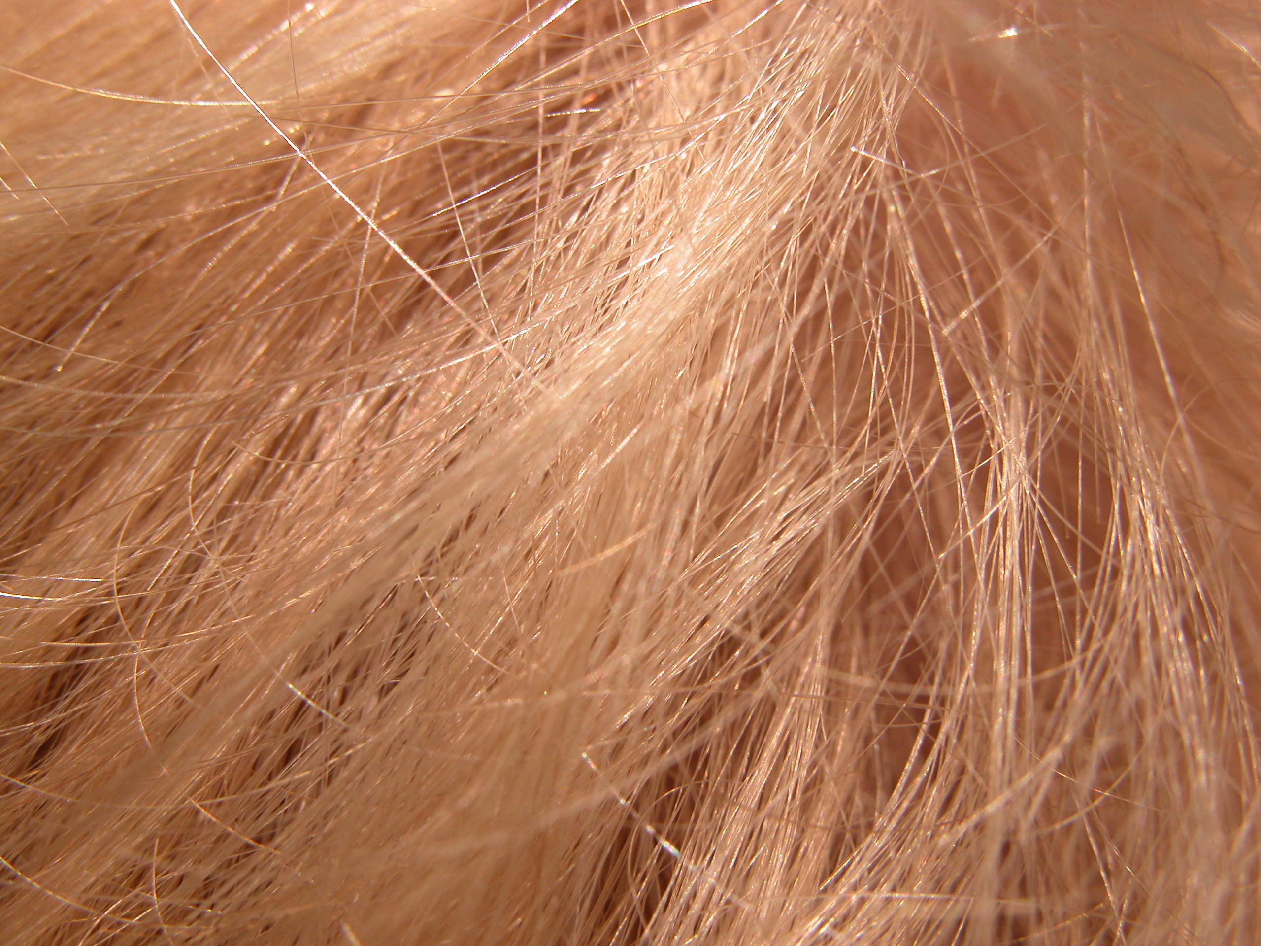 fur hair hairy macro blond rough