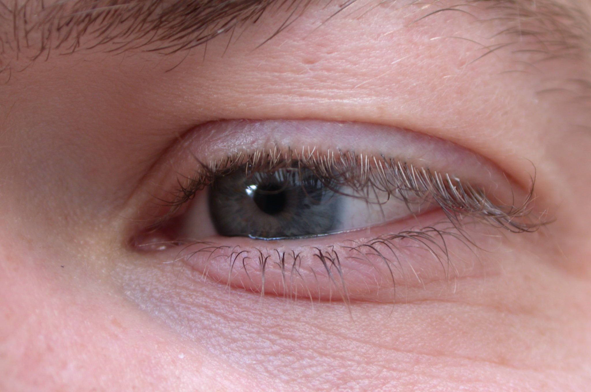 eye nature characters humanparts eyelash eyelashes wrinkles skin lash lashes wrinkles