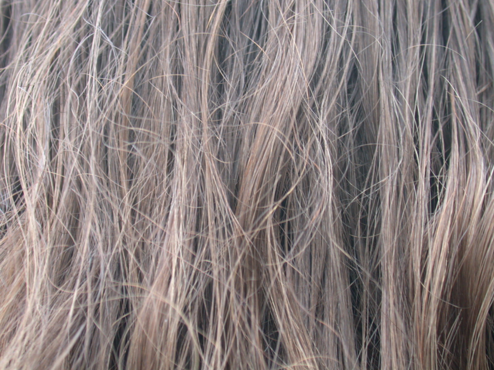 human hair brown grey long free hair images