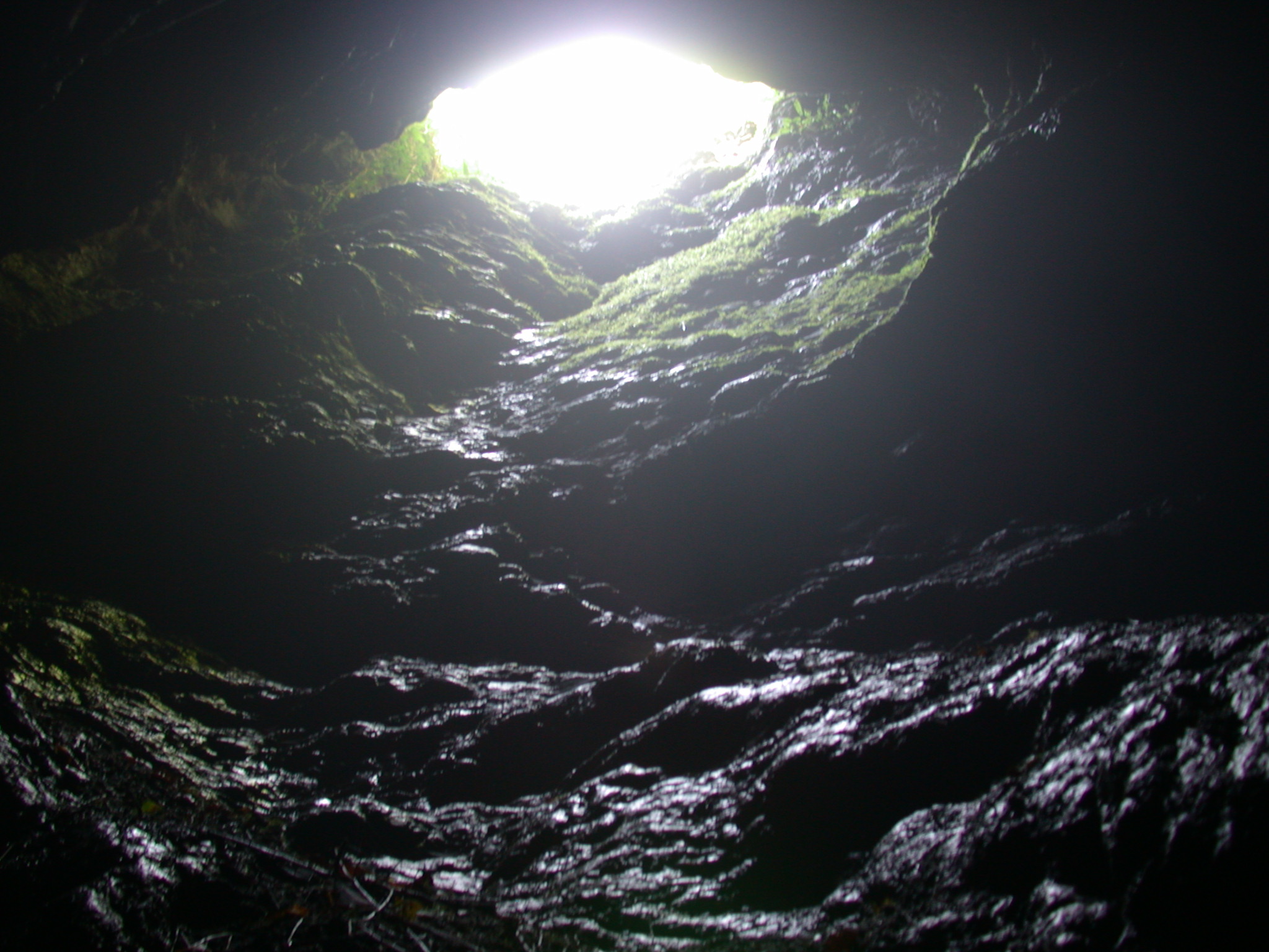 cave of Caerbannog dark opening path shining slippery dark stones