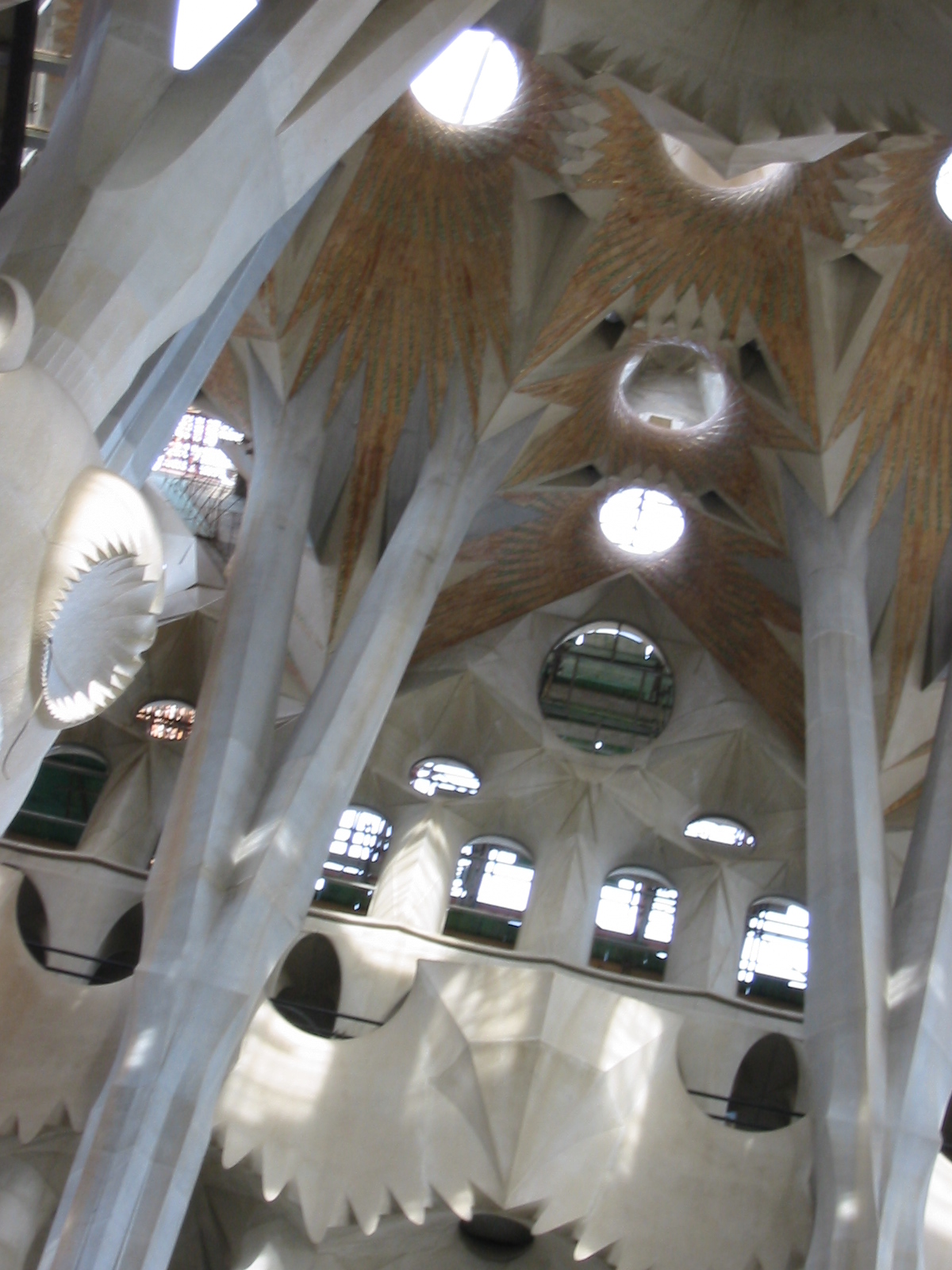 architecture interiors cathedral gaudi barcelona church ceiling